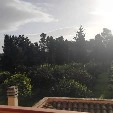 D'estate